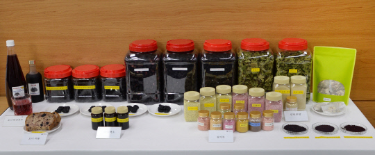 농촌진흥청이 31일 세종시 정부세종청사에서 뽕나무 열매 '오디'의 소화 기능 개선 효과 확인과 관련한 브리핑에 앞서 오디 분말 등 제품을 전시하고 하고 있다. [농촌진흥청 제공]